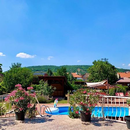 Andrea Pansio Bed & Breakfast Balatonfured Bagian luar foto